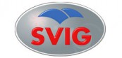 Svig