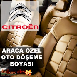 CITROEN Oto Deri Döşeme Boya Seti - Özel Renk - 1 Lt - 6 Parça (DERBY)