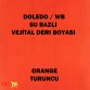 Derby Doledo WB Su Bazlı Vejital Deri Boyası 100 ml