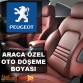 PEUGEOT Oto Deri Döşeme Boya Seti - Özel Renk - 1 Lt - 6 Parça (DERBY)