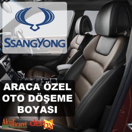 SSANGYONG Oto Deri Döşeme Boya Seti - Özel Renk - 1 Lt - 6 Parça (DERBY)