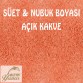 Yunus Süet & Nubuk Boyası Şişe 100 ml - 12 Adet